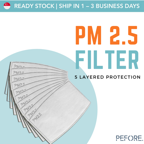 PM 2.5 FILTER